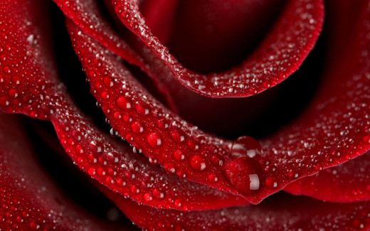 486986 (a): :2560x1600